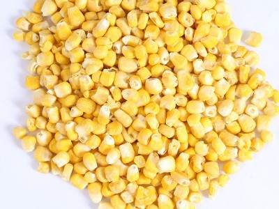 脱水干玉米粒香甜酥爽脱水甜玉米丁脱水玉米脱水蔬菜批发批发量大图5