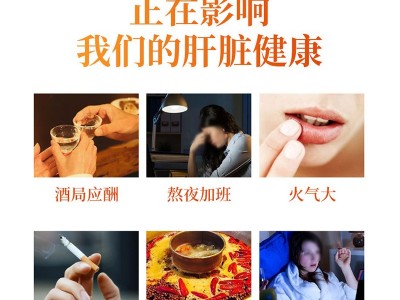 养生茶源头厂家菊花决明子茶枸杞子金银花花茶养生茶熬夜茶包正品图2