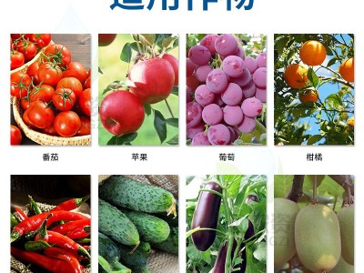 阿速勃叶含氨基酸水溶肥料促花促果叶色浓绿抗病抗逆通用叶面肥图3