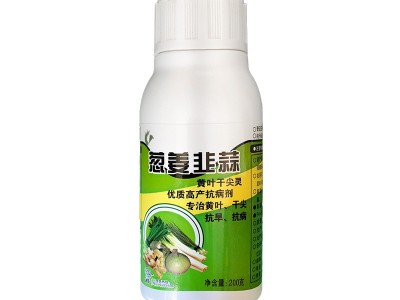 葱姜韭蒜黄叶干尖灵氨基酸叶面肥防黄叶折倒叶斑促生长抗逆增产图5
