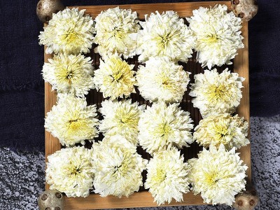 菊花茶 黄山贡菊 白菊花 七月菊 太阳花 婺源徽州菊花图3
