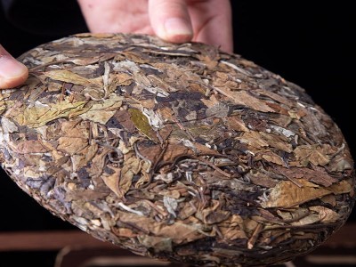 批发云南白茶 小户赛古树白 香甜醇厚兰香韵足 普洱茶357克七子饼图2
