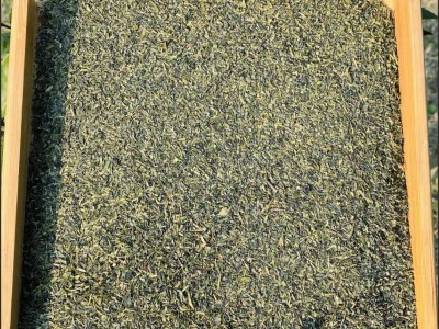 厂家直营中国绿茶炒青绿茶片出口茶9380去异味甲醛奶茶袋泡茶原料图2