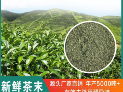 厂家直营中国绿茶炒青绿茶片出口茶9380去异味甲醛奶茶袋泡茶原料图5