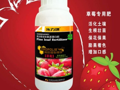 草莓专用肥 快速生根壮苗 膨大增甜 口感好 全水溶黄腐酸钾冲施肥图4