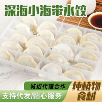 批发深海小海带净素水饺纯植物食材冷冻食品批发早餐方便速冻饺子