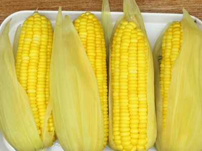 云南特产新鲜水果玉米现摘甜玉米即食生吃玉米棒甜脆玉米9斤装图2