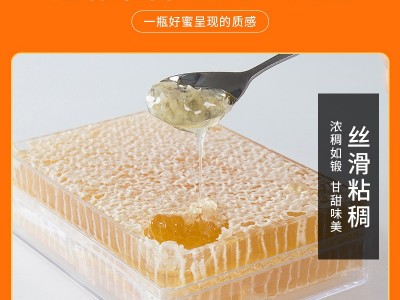 颍海蜂巢蜜500g批发土蜂蜜成熟封盖蜜蜂蜜荆条蜂巢蜜图4