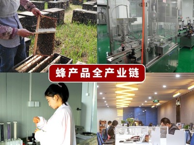 500克高原野花蜂蜜青海土特产百花土蜂蜜跑江湖地摊货源工厂批发图4