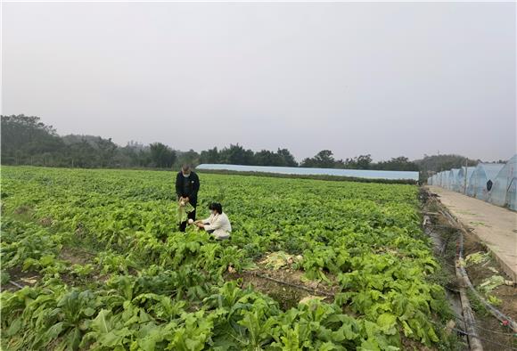毓青山里的蔬菜基地。特约通讯员 李慧敏 摄