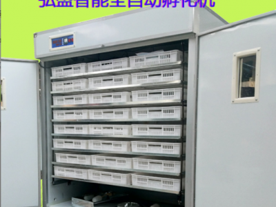 弘盛2112全自动三用孵化机 大中小型孵化器 鸡鸭鹅智能孵蛋机设备图2