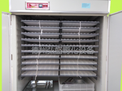 弘盛2112全自动三用孵化机 大中小型孵化器 鸡鸭鹅智能孵蛋机设备图4