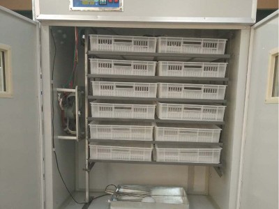 小型全自动孵化机养殖场育雏用孵化器全自动智能温控孵化机图4
