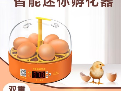 实验孵蛋器小鸡孵化器小型家用全自动鸡蛋孵化箱儿童智能孵化机图3