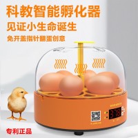 实验孵蛋器小鸡孵化器小型家用全自动鸡蛋孵化箱儿童智能孵化机