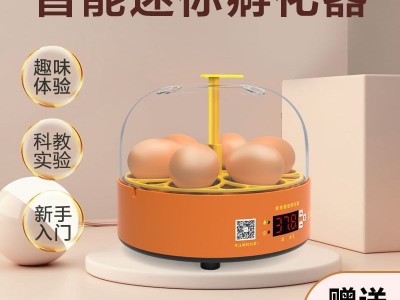 实验孵蛋器小鸡孵化器小型家用全自动鸡蛋孵化箱儿童智能孵化机图2