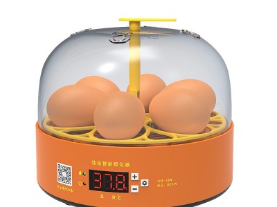 实验孵蛋器小鸡孵化器小型家用全自动鸡蛋孵化箱儿童智能孵化机图5