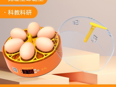 实验孵蛋器小鸡孵化器小型家用全自动鸡蛋孵化箱儿童智能孵化机图4