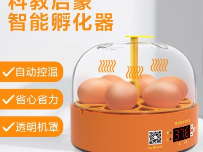工厂批发小鸡孵化器小型家用智能孵化机跨境迷你鸡蛋孵蛋器孵蛋机图3
