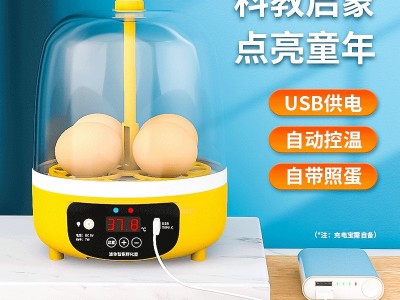 工厂批发小鸡孵化器小型家用智能孵化机跨境迷你鸡蛋孵蛋器孵蛋机图2