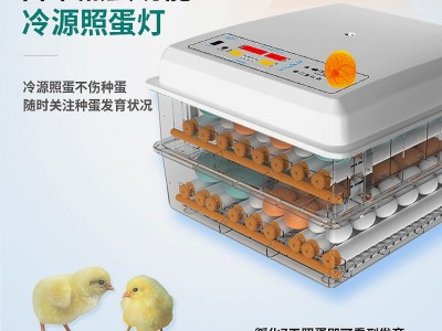 工厂批发小鸡孵化器小型家用智能孵化机跨境迷你鸡蛋孵蛋器孵蛋机图4