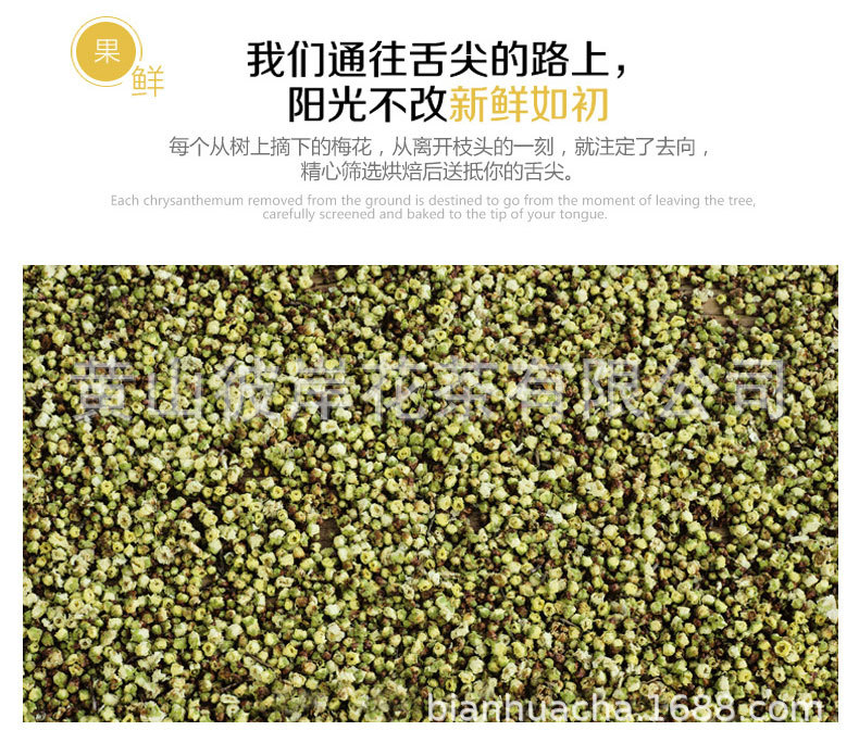 绿梅花_08.jpg