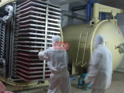 即食果蔬脆FD生产冻干蔬菜 冻干芦笋 包料代加工服务图2
