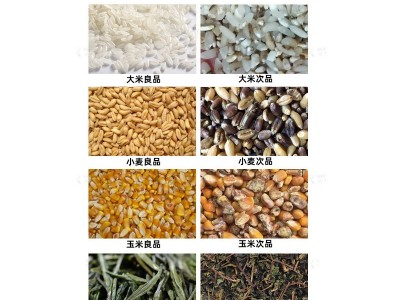 新款小型大米色选机迷你全自动精选机茶叶玉米塑料分色筛选机矿石图3