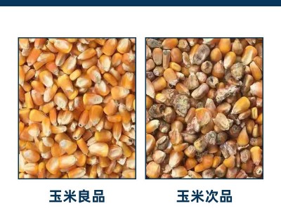 纳格光电玉米色选机 分选小麦杂粮 多用途筛选设备图2