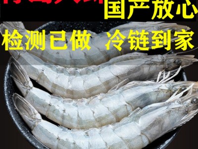 即冻青岛大虾海鲜水产基围虾新鲜国产速冻海虾青虾白虾冻虾鲜虾图2