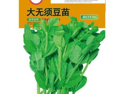 揭美大无须豆苗种子 豌豆苗种 菜籽 蔬菜种子原厂包装25克图2
