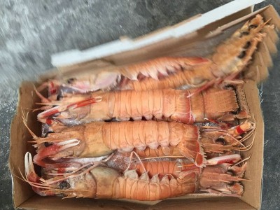 海鲜水产批发海鳌虾 急速冷冻小龙虾 海鲜鳌虾批发图2