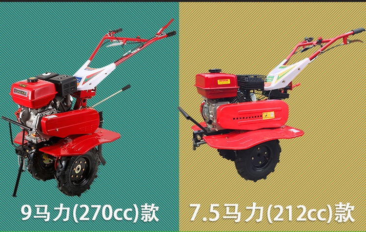 1_02.jpg