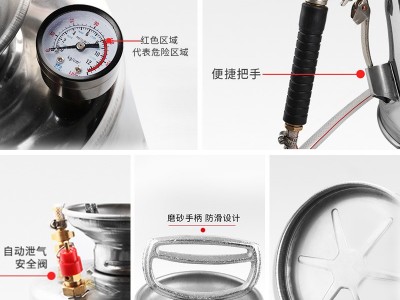 不锈钢喷雾器加厚气压式高压力洒水壶消毒专用喷柴油园艺手动喷壶图3