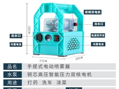 智能双泵手提喷雾器批发厂家直供农用果树打药机高压新款抽水机图3