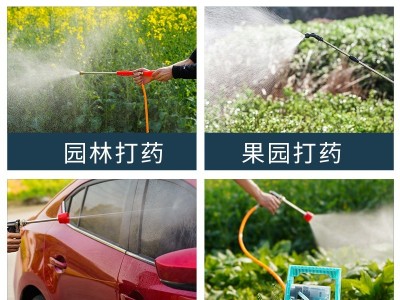 智能双泵手提喷雾器批发厂家直供农用果树打药机高压新款抽水机图2