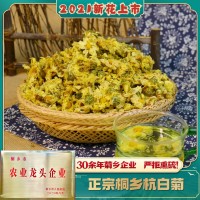 桐乡钱林菊厂 新货杭白菊朵花娃娃菊 散装批发杭菊花原料菊沫现货