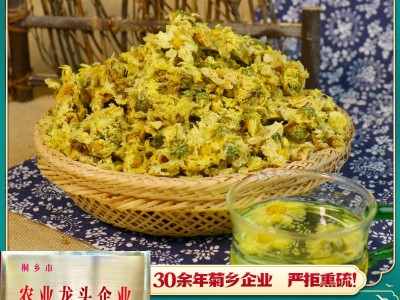 桐乡钱林菊厂 新货杭白菊朵花娃娃菊 散装批发杭菊花原料菊沫现货图2