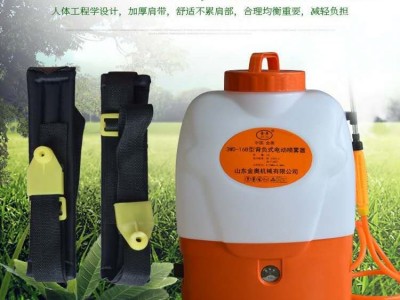电瓶带小型打药机肩背式喷雾打药机12V充电式农田灭虫除草喷雾器图2