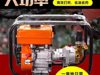 直连式高压汽油打药机农用喷雾器果树喷洒器园林四冲程汽油喷药机图4