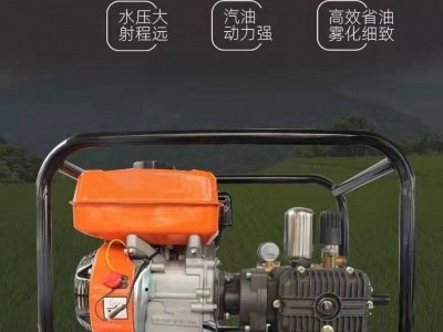 直连式高压汽油打药机农用喷雾器果树喷洒器园林四冲程汽油喷药机图3
