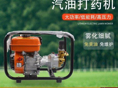 直连式高压汽油打药机农用喷雾器果树喷洒器园林四冲程汽油喷药机图2