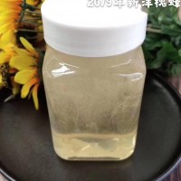 成熟洋槐蜜产地货源蜂宜健洋槐500g陕西源头蜂场槐花蜂蜜贴牌代发