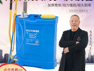 20L厂家批发背负式手动喷雾器打药农用消毒白钢双管气压式喷雾器图2