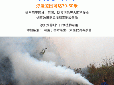 手提式脉冲弥雾机烟雾机 水雾烟雾机 农用果树打药消杀喷雾器图2