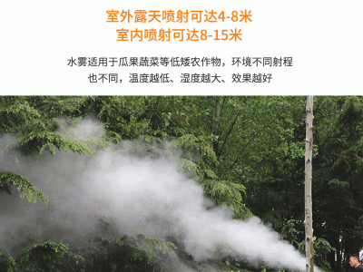 手提式脉冲弥雾机烟雾机 水雾烟雾机 农用果树打药消杀喷雾器图4