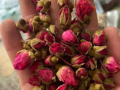 玫瑰花茶平阴玫瑰批发新货干山东玫瑰花厂家批发无硫兰州苦水玫瑰图5