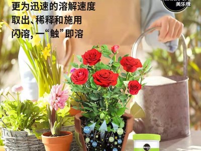 美乐棵250克装磷酸二氢钾叶面肥水溶肥开花植物适用图3