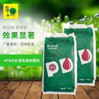 翠筠厂家批发必达水溶性肥料20-20-20叶面肥料10公斤