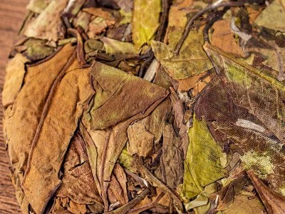 茶叶批发 白茶 云南古树白茶 2020年高山春茶 清甜高香 茶饼 200g图2
